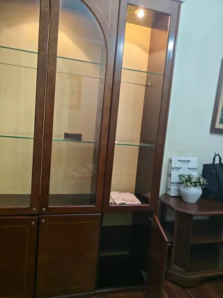 Vitrina de madera y cristal