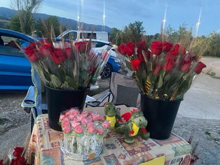 Rosas para Sant Jordi