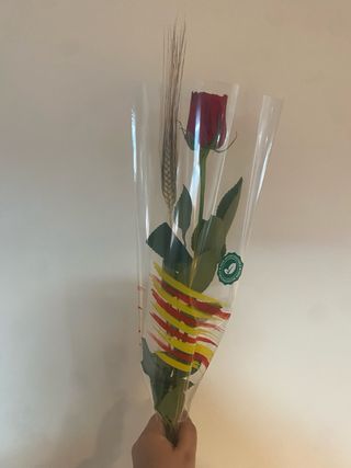 Rosas para Sant Jordi
