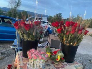 Rosas para Sant Jordi