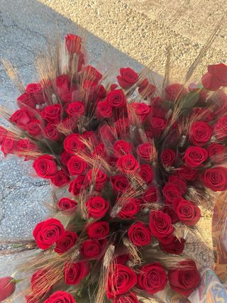 Rosas para Sant Jordi