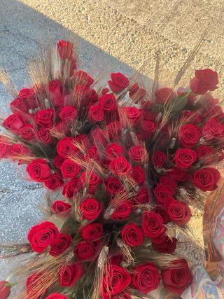 Rosas para Sant Jordi