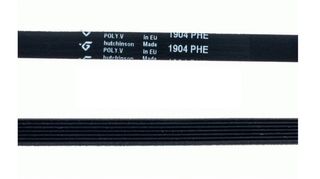 Correa Secadora 1904 PHE