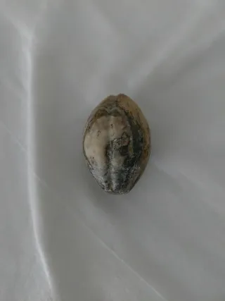 3 Uova di Pietra Decorative