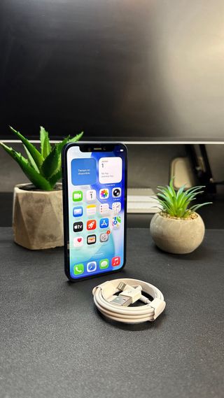 iPhone 12 mini blu IMPOLUTO