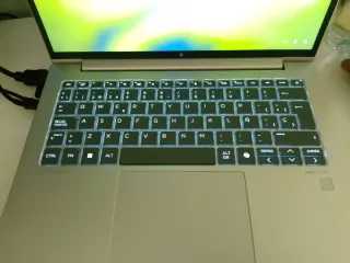 HP EliteBook 645 14' Plata