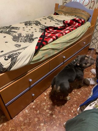 Cama individual 90cm