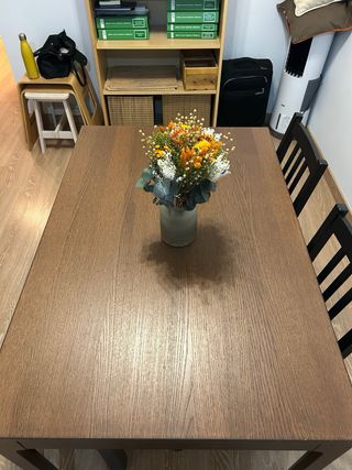 Mesa comedor IKEA con banco y 2 sillas