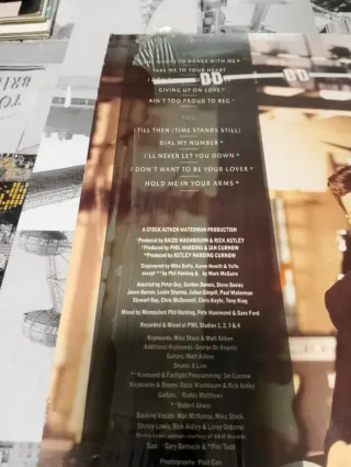 Vinilo Rick Astley - Hold Me In Your Arms.