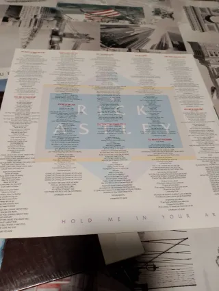 Vinilo Rick Astley - Hold Me In Your Arms.