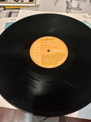 Vinilo Rick Astley - Hold Me In Your Arms.