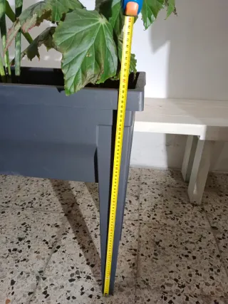 Macetero negro con plantas