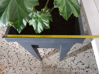 Macetero negro con plantas