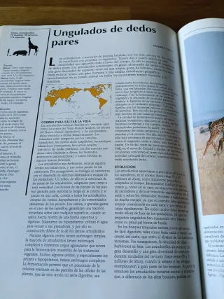 National Geographic: El maravilloso mundo de lo...