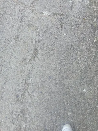 Juan Dàvila Mallorca 2026