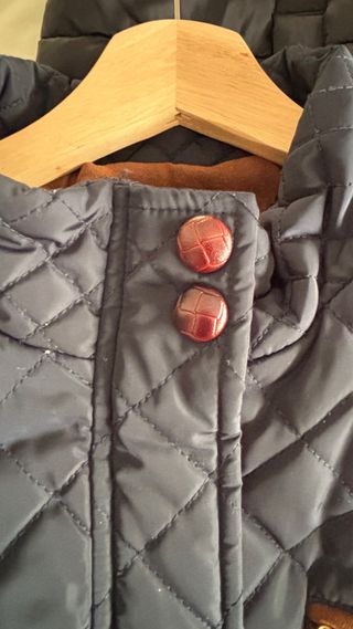 Chaqueta Lloyds Azul Acolchada