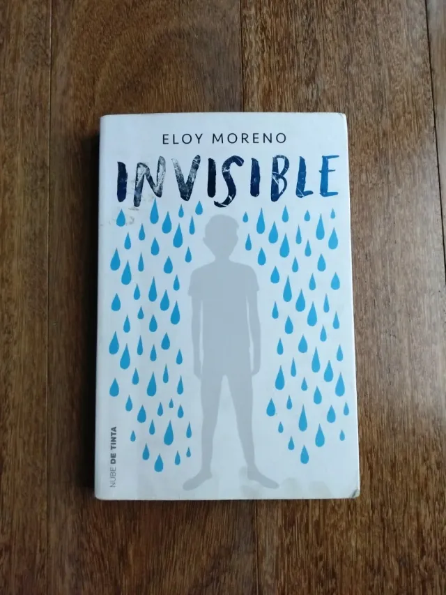 Invisible / Invisible (Spanish Edition)