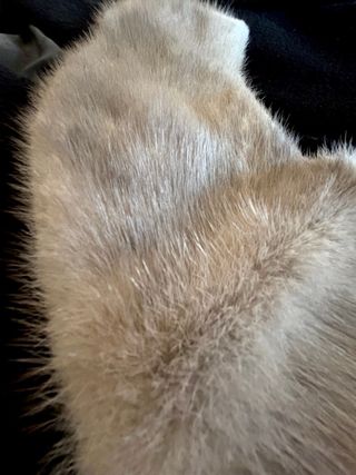 CUELLO PELO NATURAL. Vintage. 60x13.Buen estado