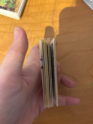 Pegatinas Disney Mulan Panini