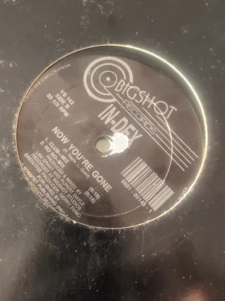 Vinilo IN-DEX Now You're Gone