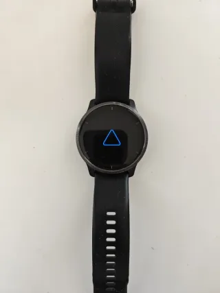 Garmin Venu 2 negro