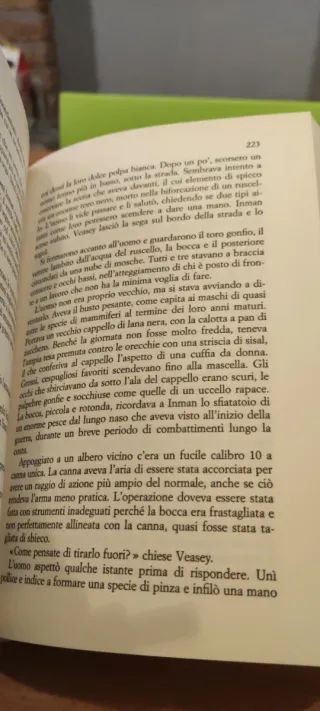 Ritorno A Cold Mountain - Charles Frazier Romanzo