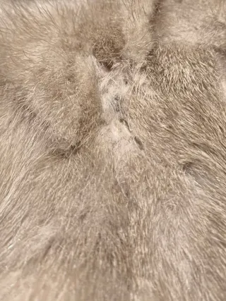 Abrigo Piel Natural Beige/Gris