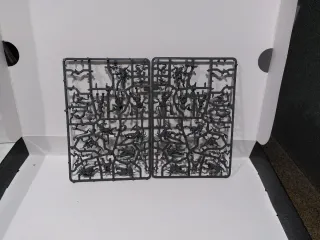 Poxwalkers Death Guard Warhammer 40k