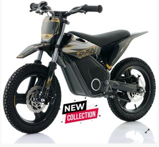 Minicross Eléctrica RFN Warrior SX-E350