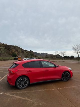 Ford Focus st line 1.5 150 CV