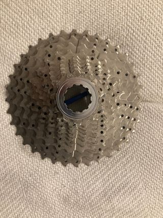 Pacco Pignoni 10 Velocità