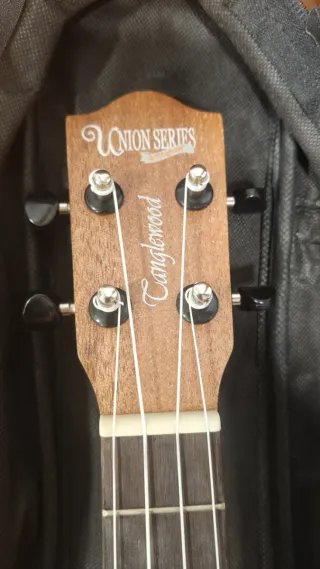 Ukelele concierto Tanglewood Union Series TU3