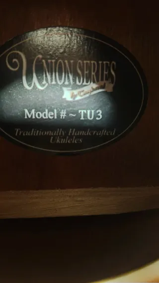 Ukelele concierto Tanglewood Union Series TU3