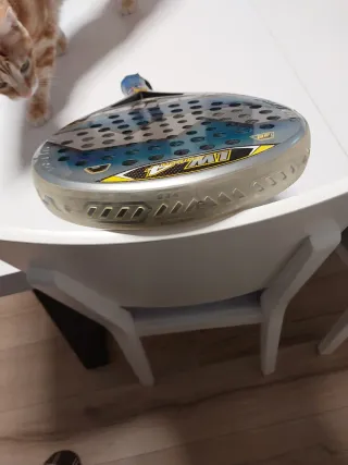 Raqueta pádel Warlion LW4 Carbon + funda