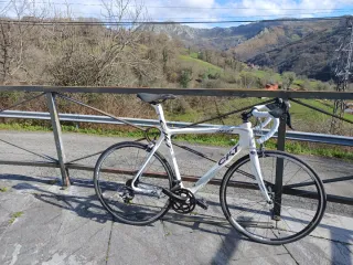 Bici CKT 368 Carbono