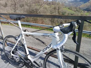 Bici CKT 368 Carbono