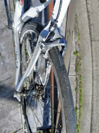 Bici CKT 368 Carbono