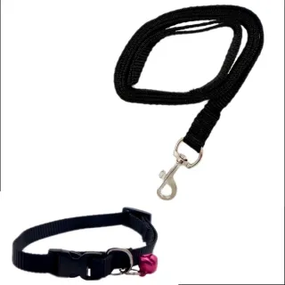 Conjunto collar y correa talla XS para perros