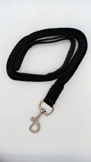 Conjunto collar y correa talla XS para perros