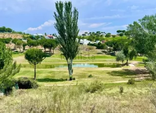 S vende terreno 1837 m