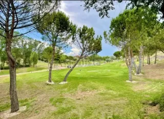 S vende terreno 1837 m