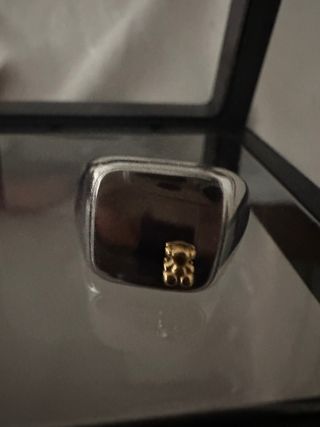 Anillo Oso Dorado y Plateado