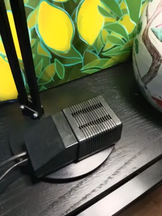 Lámpara de escritorio Luxo Tv100 , negra vintage