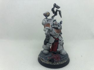 Apotecario Biologis Ultramarines Warhammer 40k