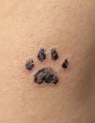 Tatuadora busca modelos a domicilio Cartagena