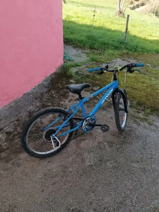 Bicicleta infantil azul y rosa