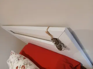 2 Cabeceros Cama 90 Blanco Juvenil