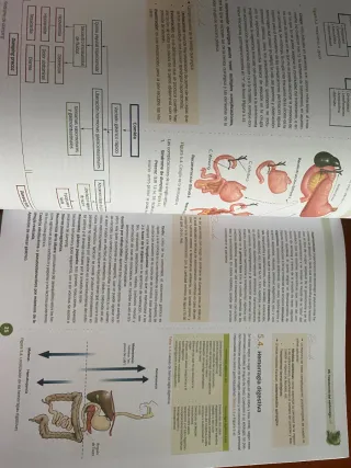 MANUALES EIR Enfermería 11Ed CTO