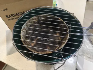 Barbacoa Mesa Portátil Verde Metal