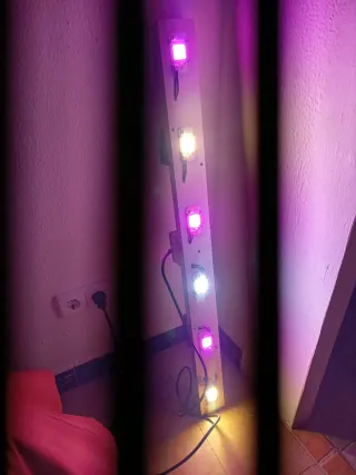 Panel LED Cultivo COB